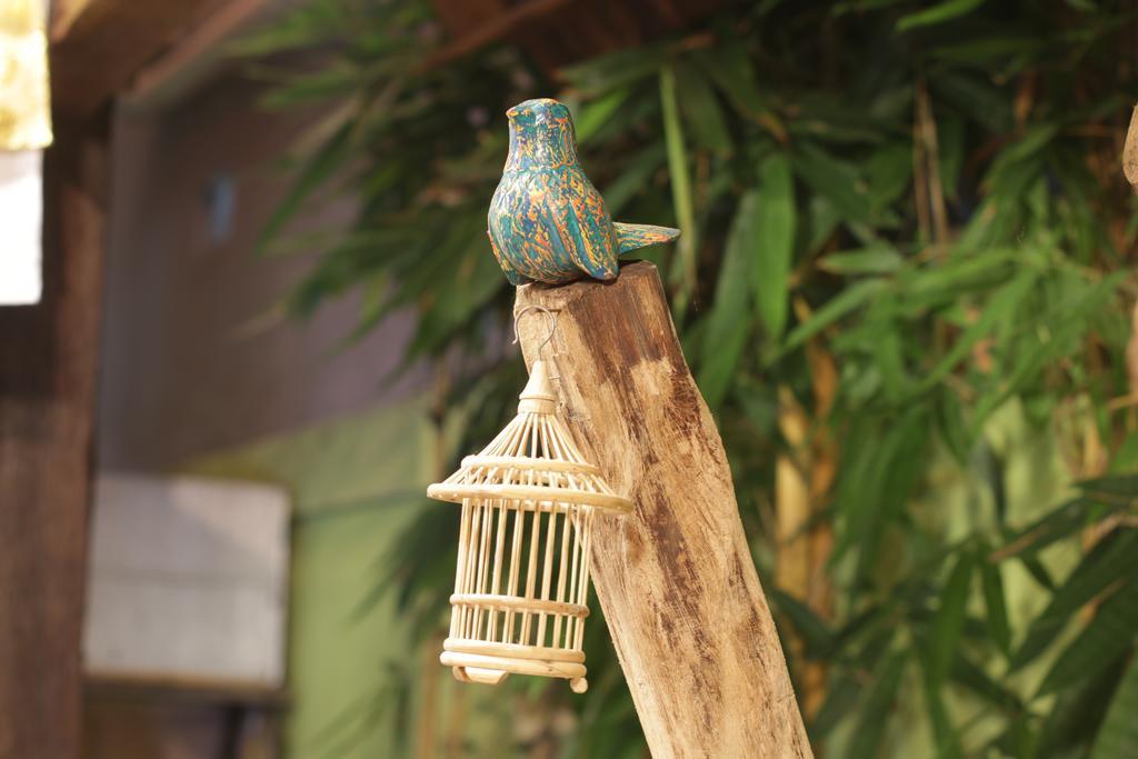 Green Bird Villa - Chse Certified Ubud Dış mekan fotoğraf